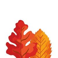 season autumn leafs isolated icon vector