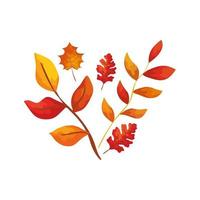 season autumn branches with leafs vector