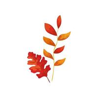 season autumn branch with leafs vector