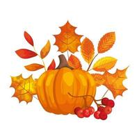 pumpkin with autumn leafs isolated icon vector