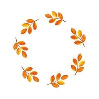 frame circular of autumn branches with leafs vector