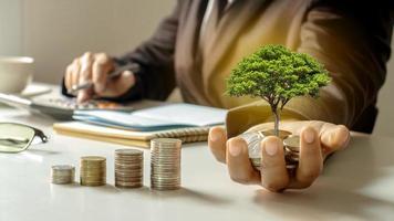 The concept of investment success, a growing tree in the hands of a businessman. photo