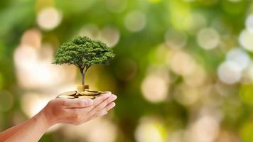 Trees are planted on coins in human hands with blurred natural backgrounds, plant growth ideas, and environmentally friendly investments. photo