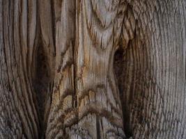 natural wooden background. dry tree trunk.wood texture