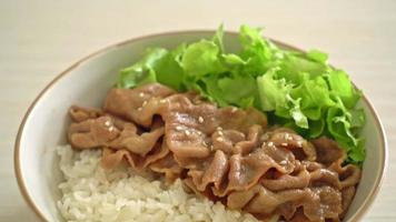 Japanese Pork Donburi Rice Bowl video