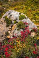 hermoso paisaje de la naturaleza en otoño foto