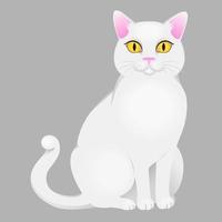 White cat sitting vector