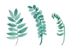 watercolor leaves separated vector set