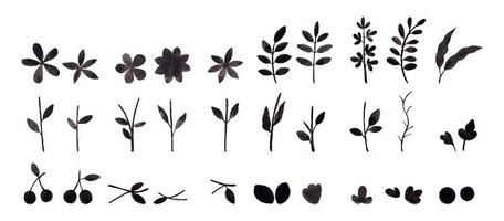 monochrome watercolor flower isolated element black vector