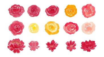 read and yellow watercolor rose flower isolated element
