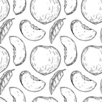 Hand drawn peach seamless pattern. vector