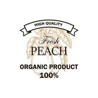 Hand drawn peach product logo. vector