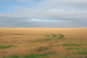 English country panorama in Salisbury photo