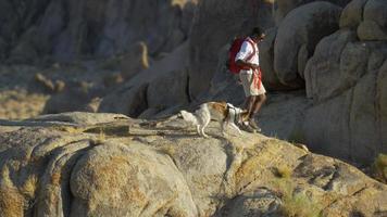 un jeune homme faisant de la randonnée dans un désert montagneux avec son chien. video