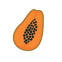 Doodle papaya fruit background. Hand drawn fruit template vector