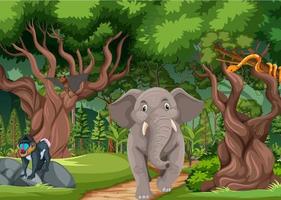 Tropical rainforest scene with various wild animals vector