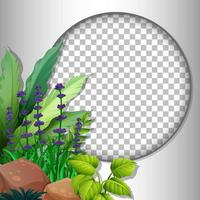 Round frame transparent with tropical leaves template vector