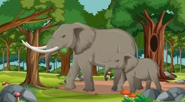 Elephant in forest or rainforest scene with many trees vector