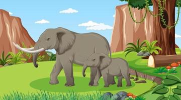 Mamá elefante y bebé en el bosque o la escena de la selva tropical con muchos árboles vector