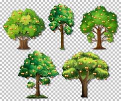 conjunto de diferentes árboles. vector