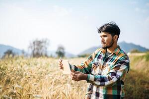 Granjero inteligente comprobando la granja de cebada con tablet PC foto