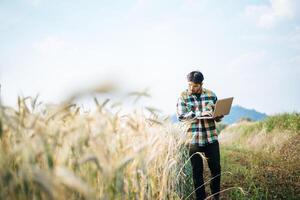 Smart farmer checking barley farm with laptop computer photo