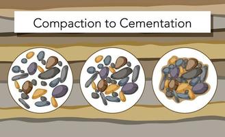 Process of compaction to cementation for education vector