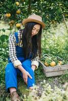 mujer cosechando una plantación de naranjos foto