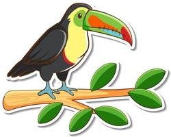 A toucan bird standing on a branch sticker vector