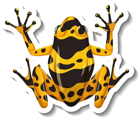 A sticker template with top view of yellow-banded poison dart frog