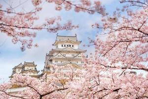 castillo de himeji con temporada de flor de cerezo de sakura foto