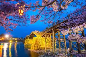 flor de cerezo en plena floración en el puente kintaikyo foto