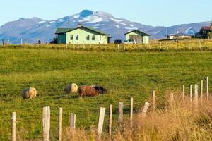 Iceland beautiful landscape, Icelandic nature landscape. photo