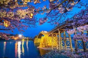flor de cerezo en plena floración en el puente kintaikyo foto