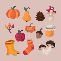 conjunto de icono de otoño vector