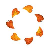 frame circular of autumn leafs vector