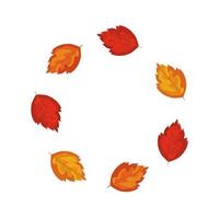 frame circular of autumn leafs vector