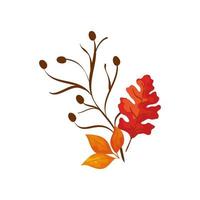 season autumn branch with leafs vector