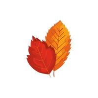 season autumn leafs isolated icon vector