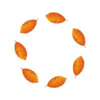 frame circular of autumn leafs vector