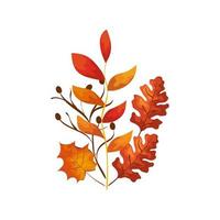 season autumn branches with leafs vector