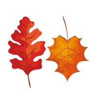 season autumn leafs isolated icon vector