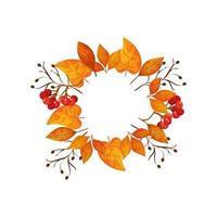 frame circular of autumn leafs and fruits vector