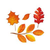 season autumn branch with leafs vector