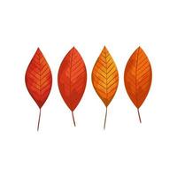 season autumn leafs isolated icon vector