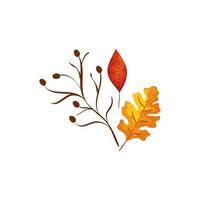 season autumn branch with leafs vector