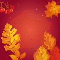 autumn leafs season pattern background vector