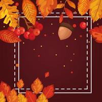 frame with leafs and nut of autumn vector