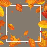 frame decoration with leafs of autumn vector