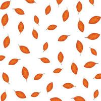 pattern of autumn leafs decoration vector